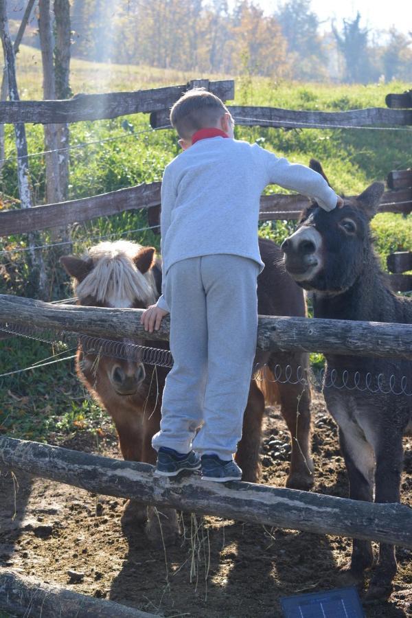 Tenuta I Musi Lunghi Lesignano de' Bagni 外观 照片