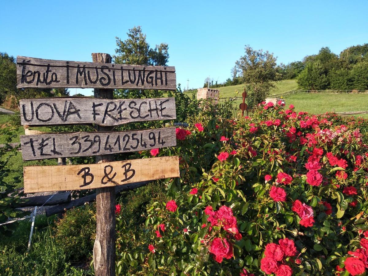 Tenuta I Musi Lunghi Lesignano de' Bagni 外观 照片